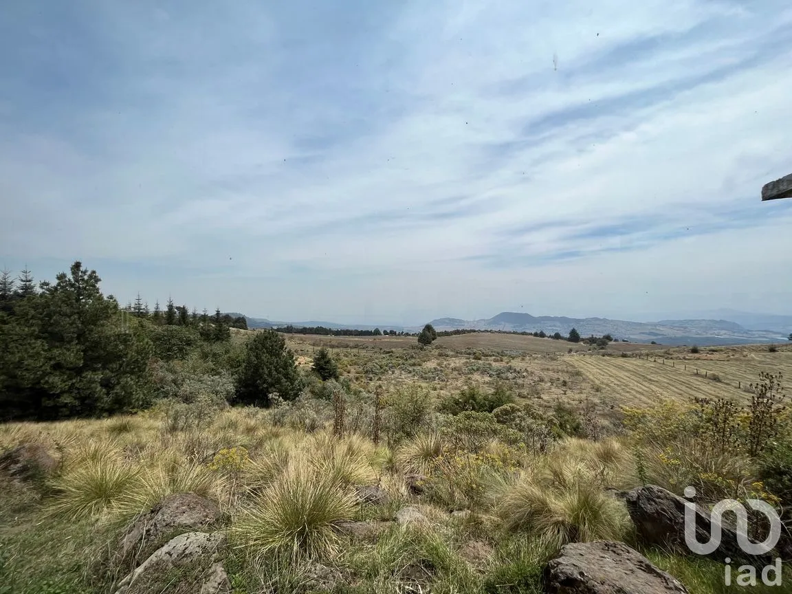Rancho en Venta en Santo Tomas Ajusco, Tlalpan, Ciudad de México | NEX-170791 | iad México | Foto 39 de 83