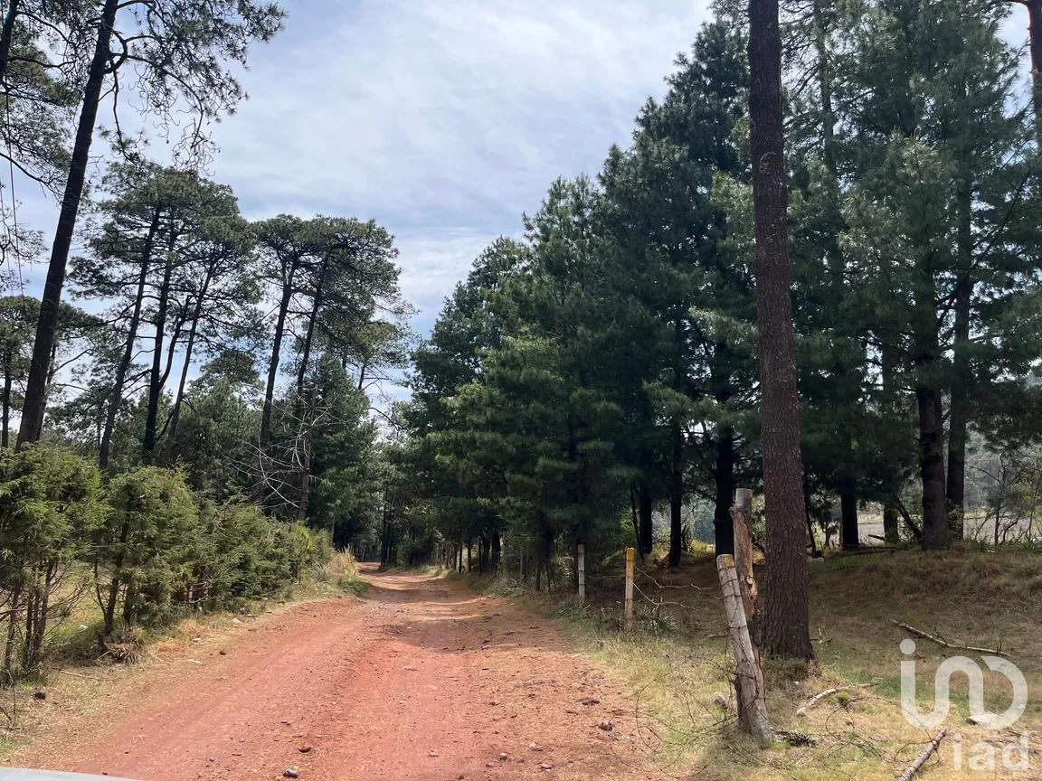 Rancho en Venta en Santo Tomas Ajusco, Tlalpan, Ciudad de México | NEX-170791 | iad México | Foto 5 de 83