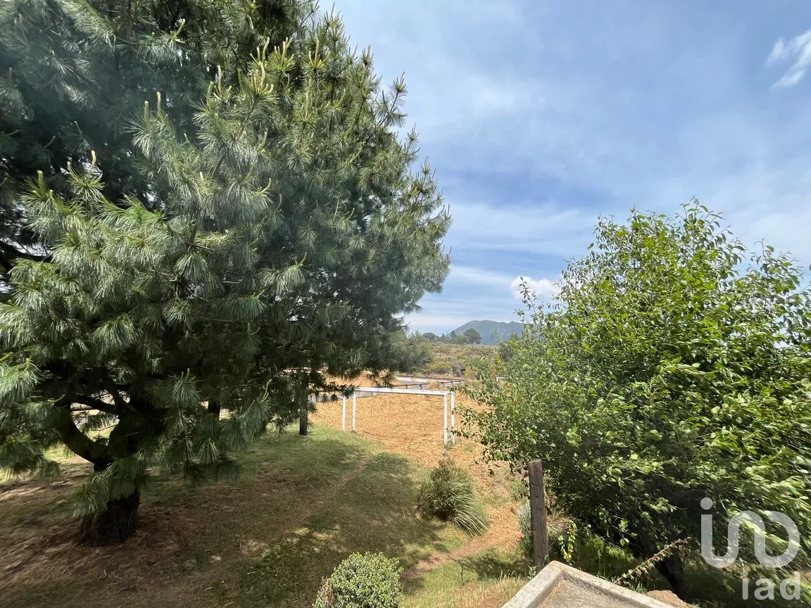 Rancho en Venta en Santo Tomas Ajusco, Tlalpan, Ciudad de México | NEX-170791 | iad México | Foto 42 de 83
