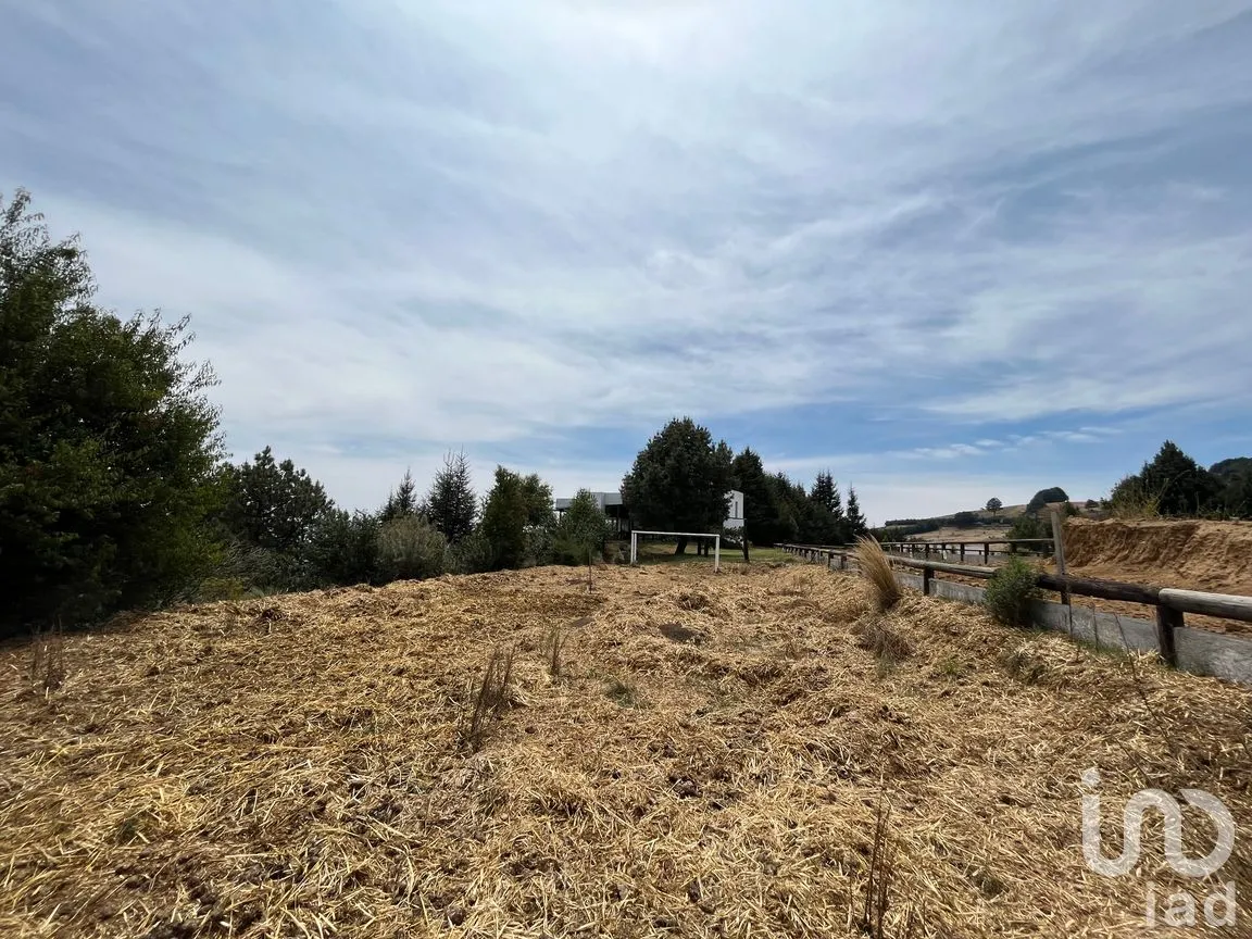 Rancho en Venta en Santo Tomas Ajusco, Tlalpan, Ciudad de México | NEX-170791 | iad México | Foto 61 de 83
