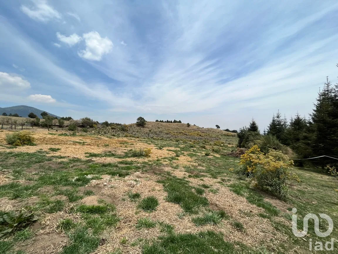 Rancho en Venta en Santo Tomas Ajusco, Tlalpan, Ciudad de México | NEX-170791 | iad México | Foto 62 de 83