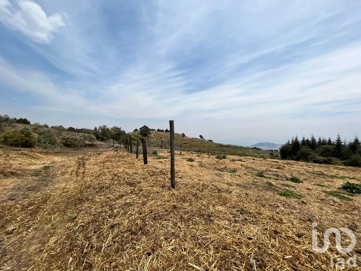 Rancho en Venta en Santo Tomas Ajusco, Tlalpan, Ciudad de México | NEX-170791 | iad México | Foto 64 de 83