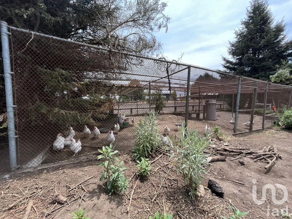 Rancho en Venta en Santo Tomas Ajusco, Tlalpan, Ciudad de México | NEX-170791 | iad México | Foto 68 de 83