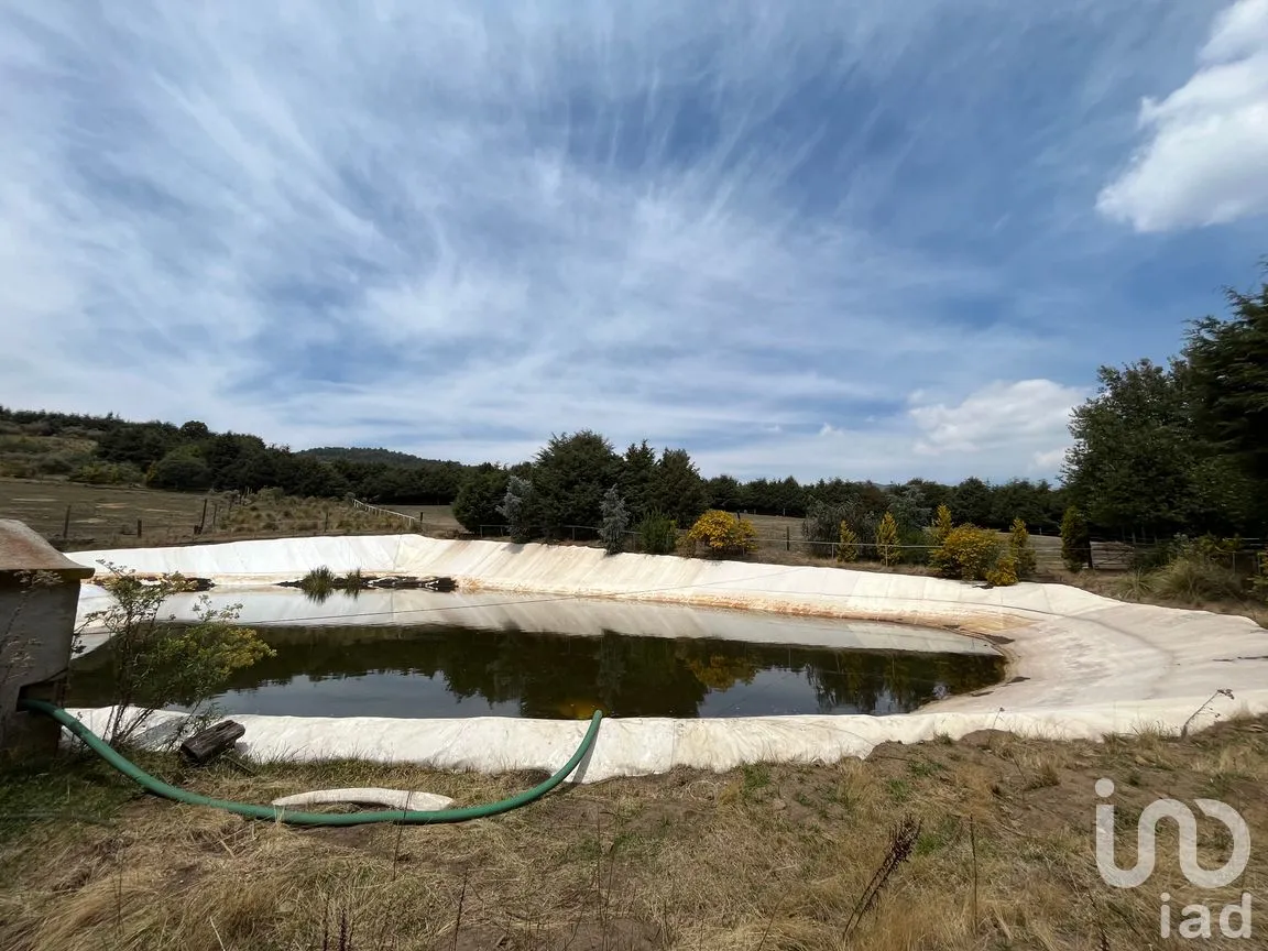 Rancho en Venta en Santo Tomas Ajusco, Tlalpan, Ciudad de México | NEX-170791 | iad México | Foto 70 de 83