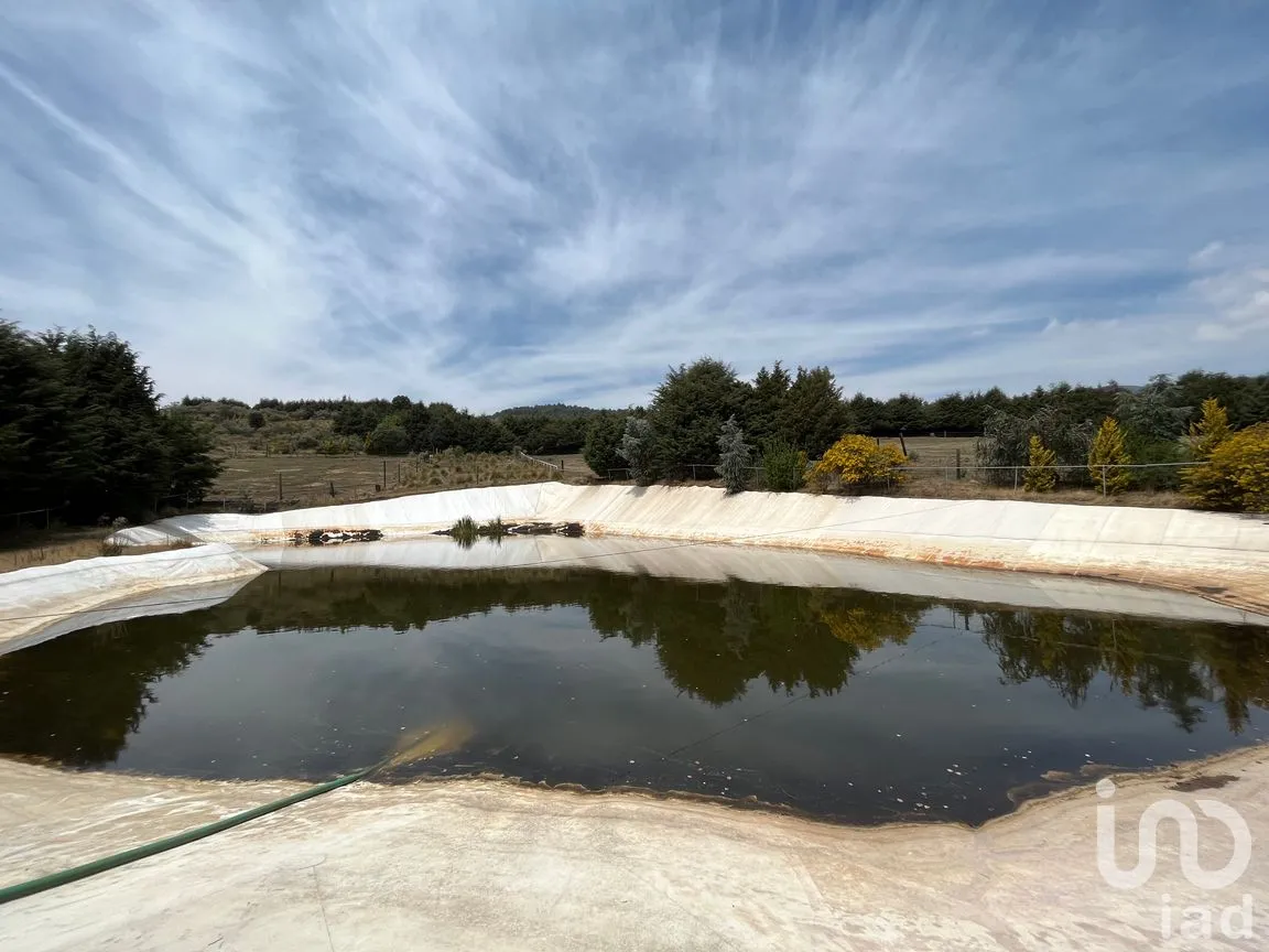 Rancho en Venta en Santo Tomas Ajusco, Tlalpan, Ciudad de México | NEX-170791 | iad México | Foto 71 de 83