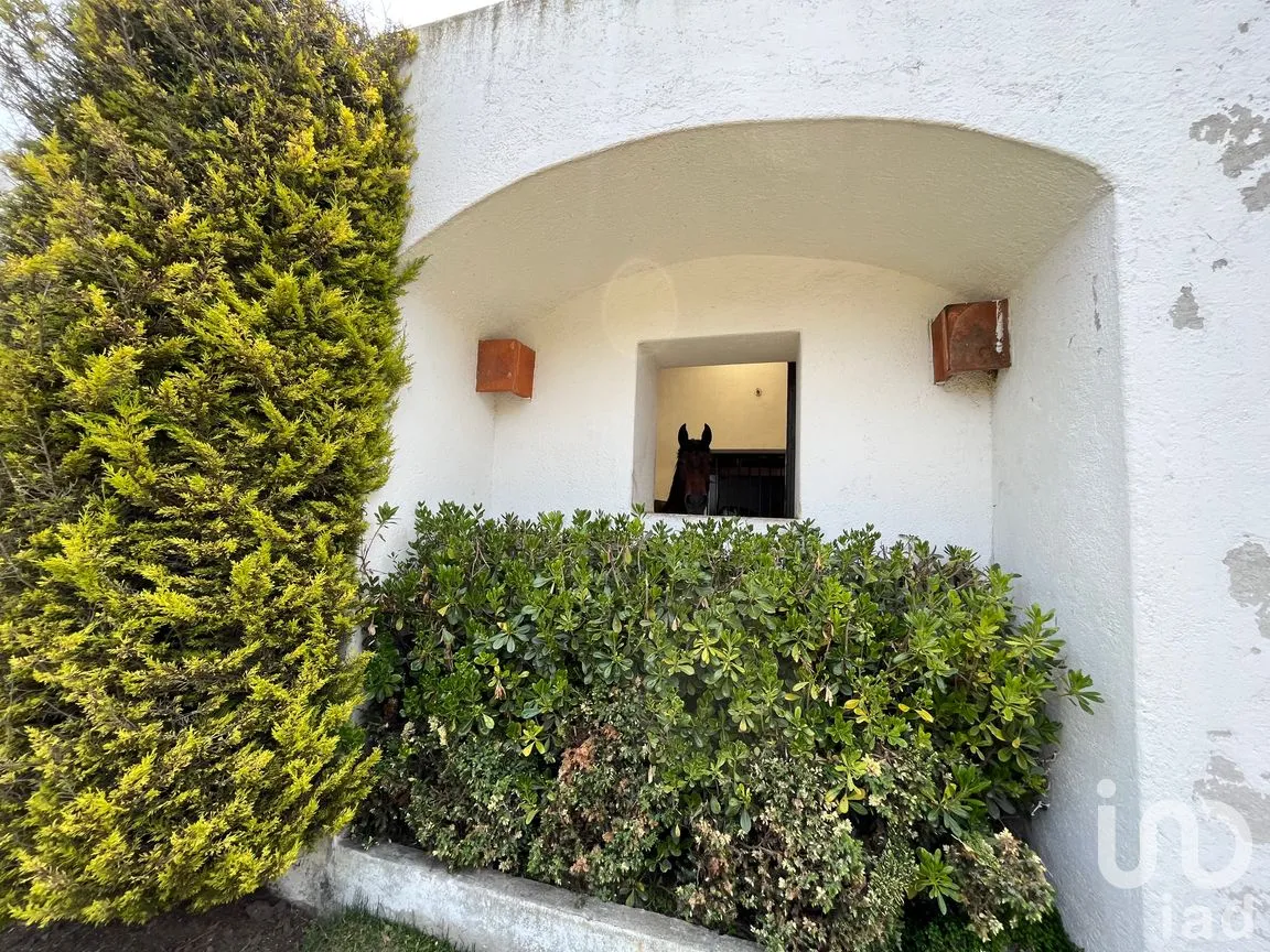Rancho en Venta en Santo Tomas Ajusco, Tlalpan, Ciudad de México | NEX-170791 | iad México | Foto 73 de 83
