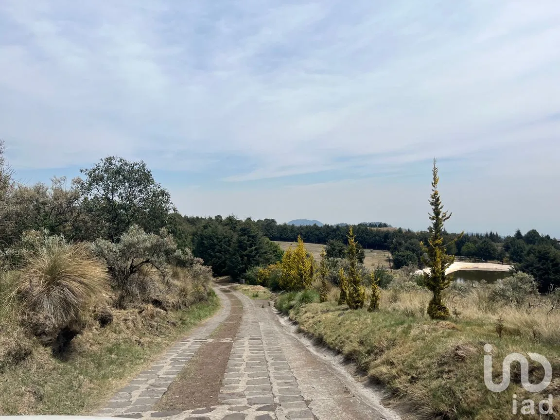 Rancho en Venta en Santo Tomas Ajusco, Tlalpan, Ciudad de México | NEX-170791 | iad México | Foto 10 de 83