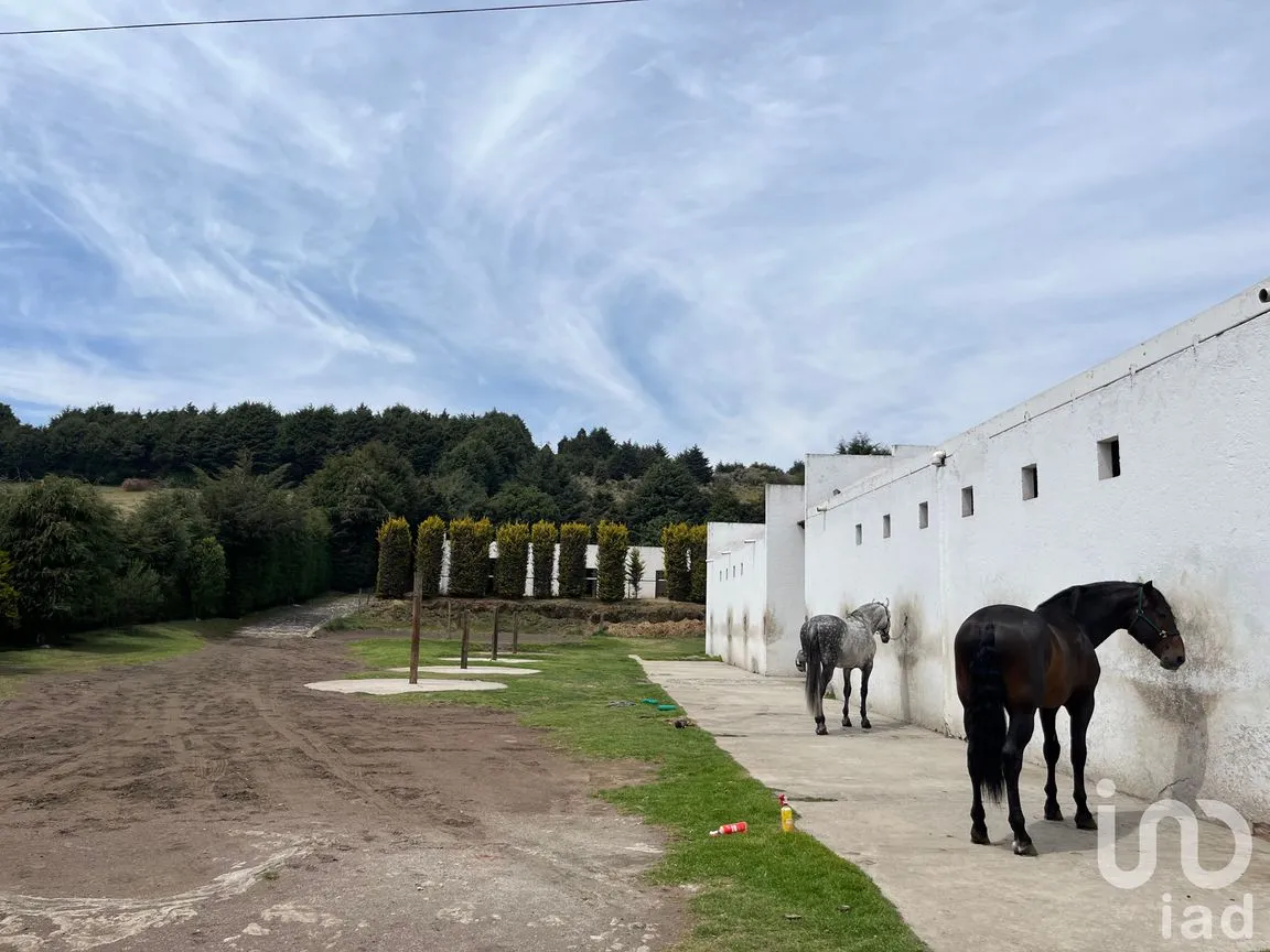 Rancho en Venta en Santo Tomas Ajusco, Tlalpan, Ciudad de México