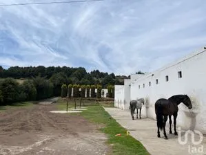 NEX-170791 - Rancho en Venta, con 40 recamaras, con 4 baños, con 1900 m2 de construcción.