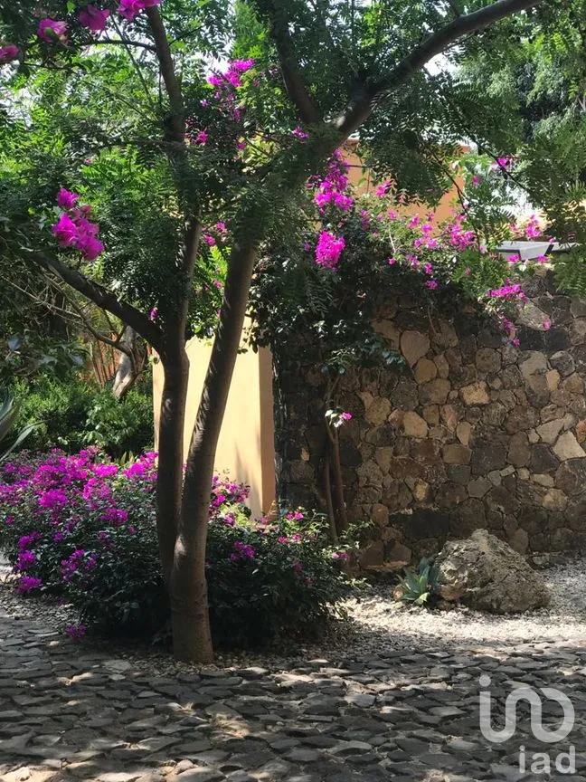 Casa en Venta en San Juan, Malinalco, México | NEX-183673 | iad México | Foto 34 de 57
