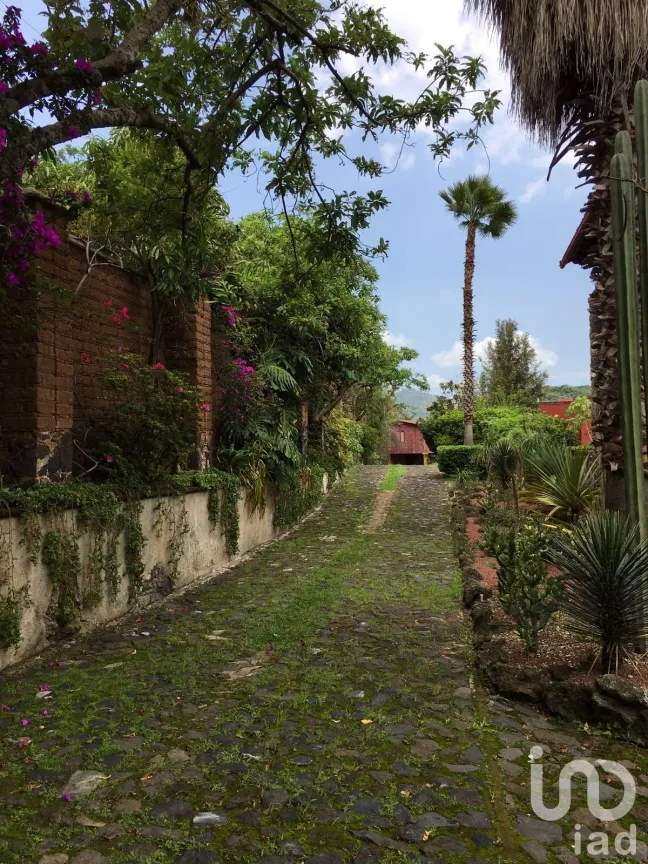 Casa en Venta en San Juan, Malinalco, México | NEX-183673 | iad México | Foto 55 de 57
