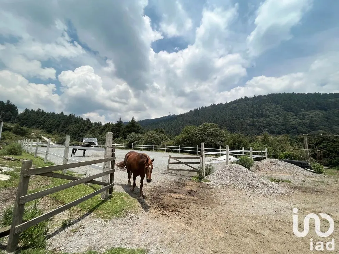 Rancho en Renta en Ignacio Allende, Huixquilucan, México | NEX-190321 | iad México | Foto 2 de 16