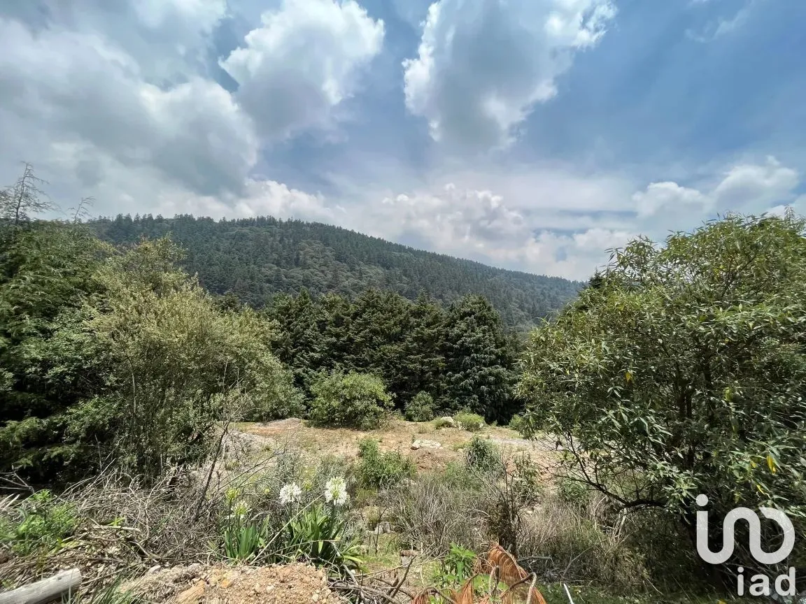Rancho en Renta en Ignacio Allende, Huixquilucan, México | NEX-190321 | iad México | Foto 5 de 16