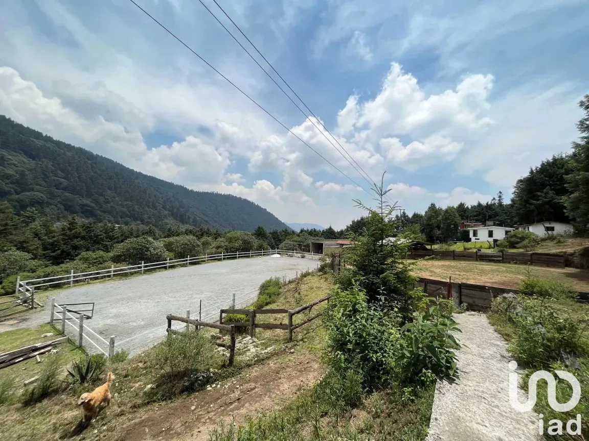 Rancho en Renta en Ignacio Allende, Huixquilucan, México | NEX-190321 | iad México | Foto 9 de 16