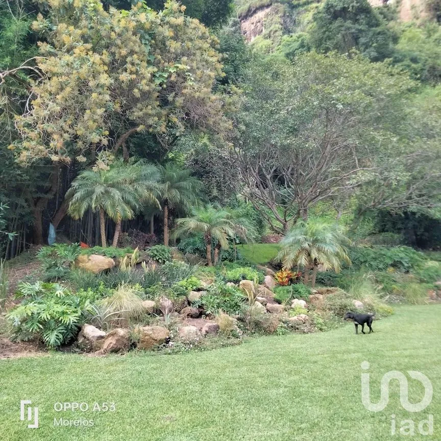 Casa en Venta en Amatlán de Quetzalcóatl, Tepoztlán, Morelos | NEX-234367 | iad México | Foto 21 de 31