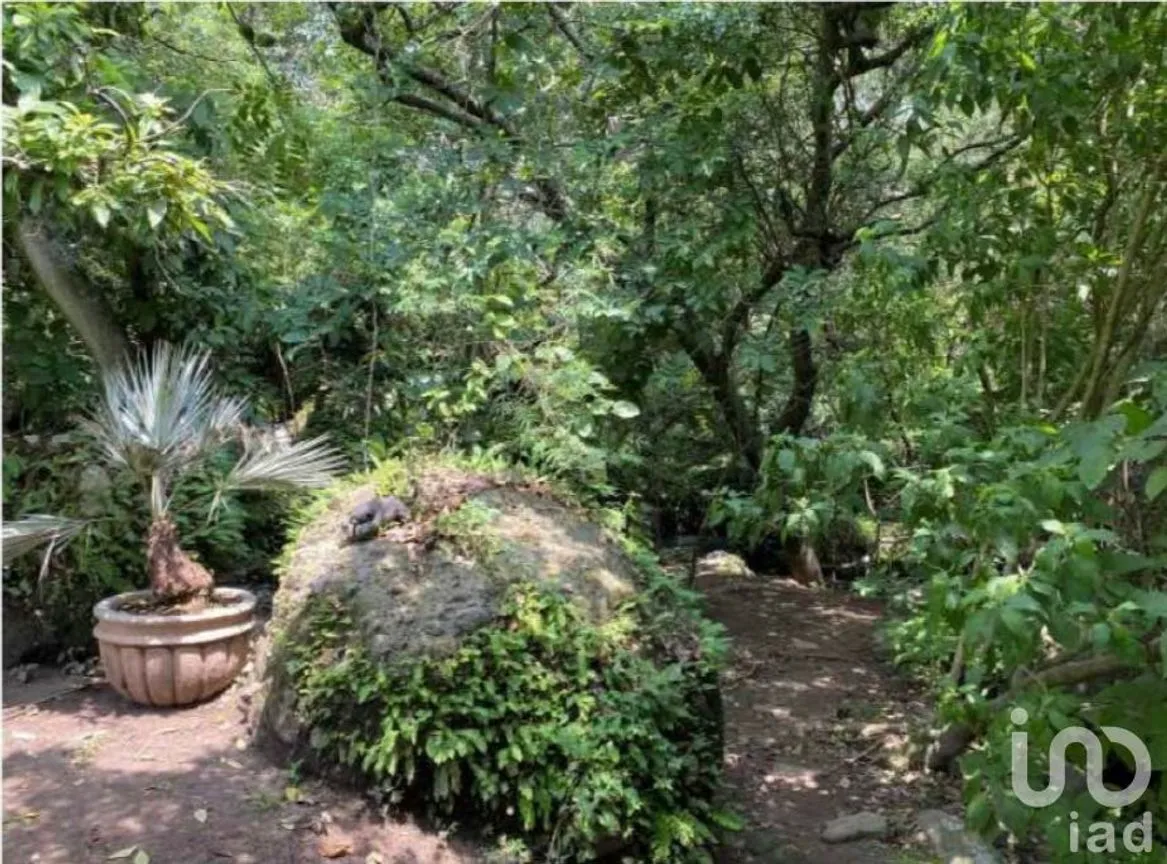 Casa en Venta en Amatlán de Quetzalcóatl, Tepoztlán, Morelos | NEX-234367 | iad México | Foto 31 de 31