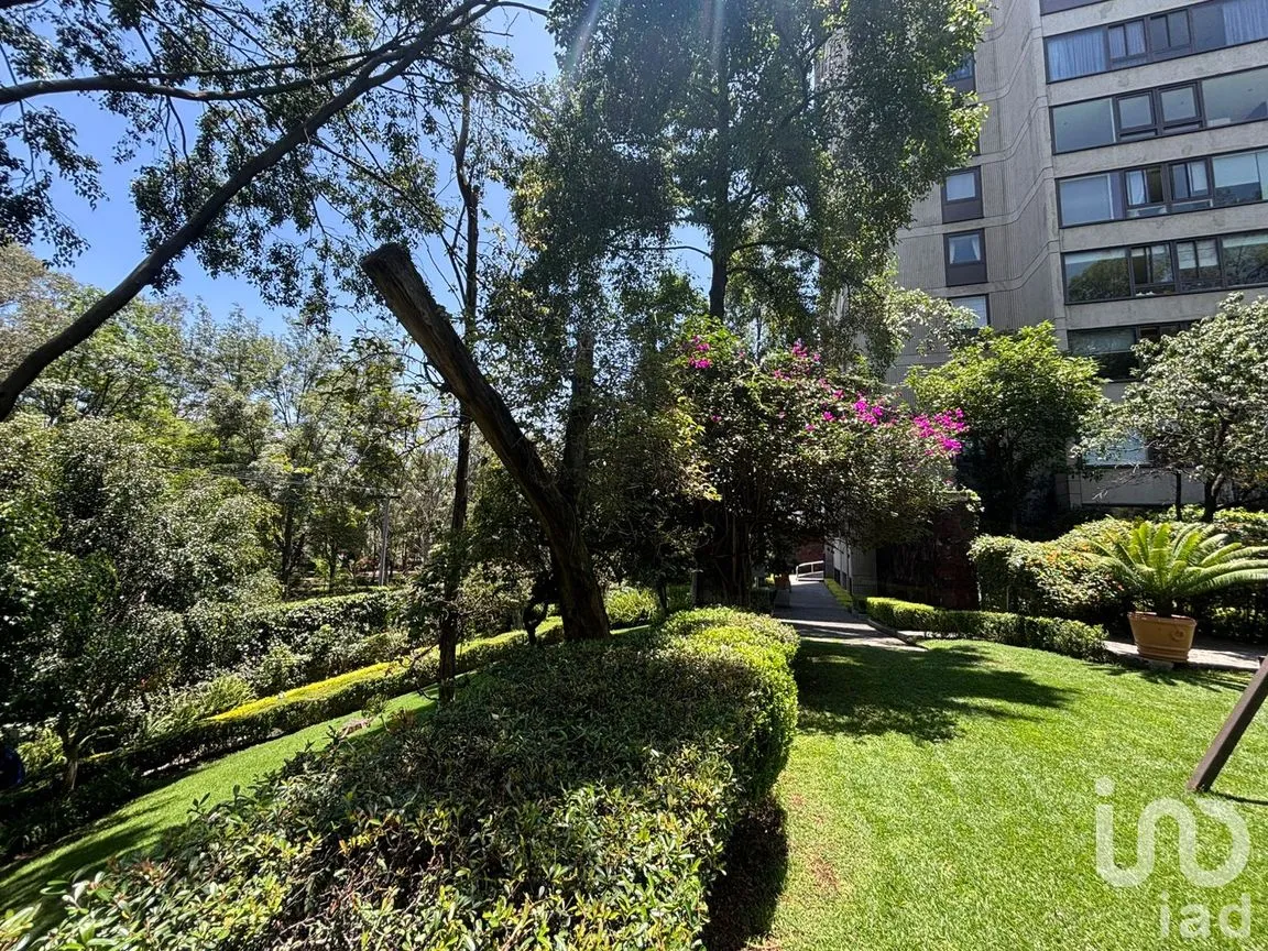 Departamento en Venta en Lomas de Chapultepec I Sección, Miguel Hidalgo, Ciudad de México | NEX-254956 | iad México | Foto 29 de 42