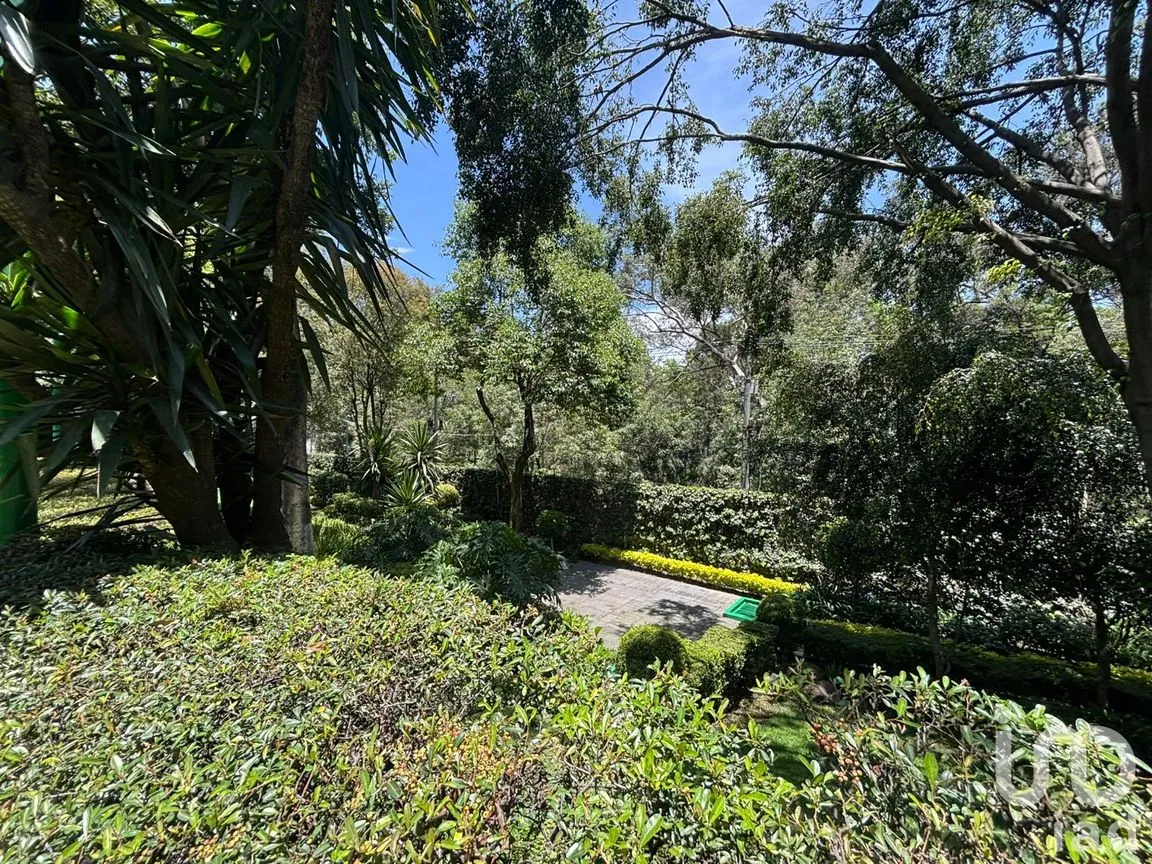 Departamento en Venta en Lomas de Chapultepec I Sección, Miguel Hidalgo, Ciudad de México | NEX-254956 | iad México | Foto 32 de 42