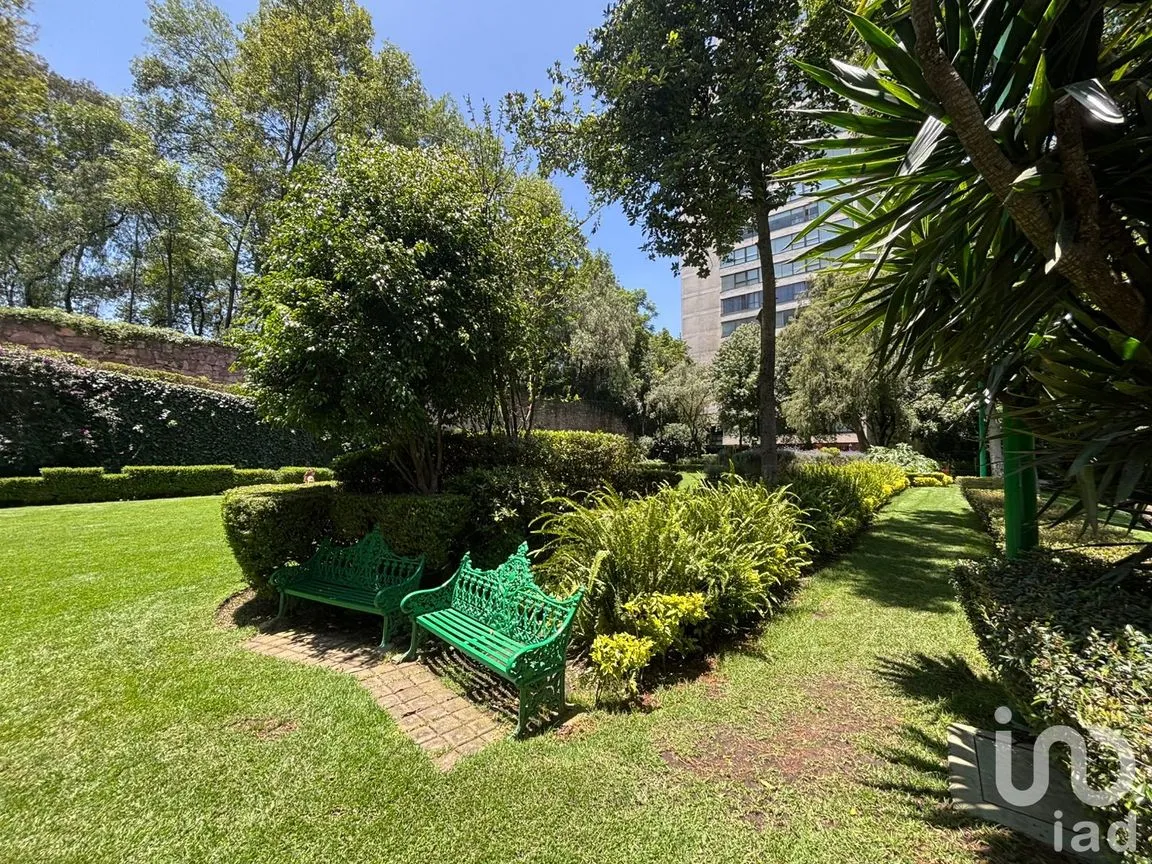 Departamento en Venta en Lomas de Chapultepec I Sección, Miguel Hidalgo, Ciudad de México | NEX-254956 | iad México | Foto 33 de 42