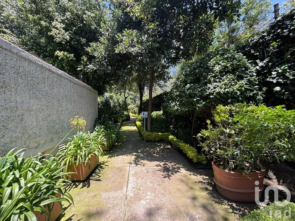 Departamento en Venta en Lomas de Chapultepec I Sección, Miguel Hidalgo, Ciudad de México | NEX-254956 | iad México | Foto 36 de 42