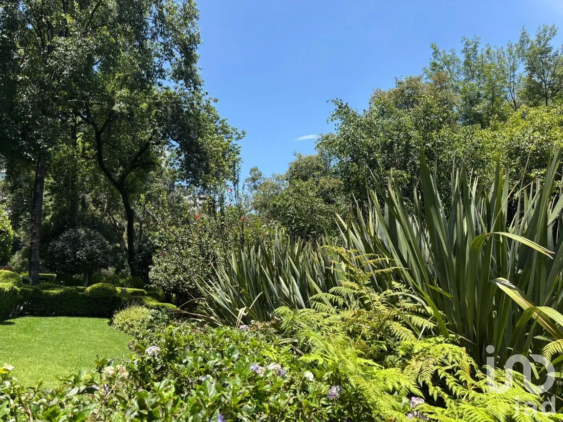 Departamento en Venta en Lomas de Chapultepec I Sección, Miguel Hidalgo, Ciudad de México | NEX-254956 | iad México | Foto 40 de 42