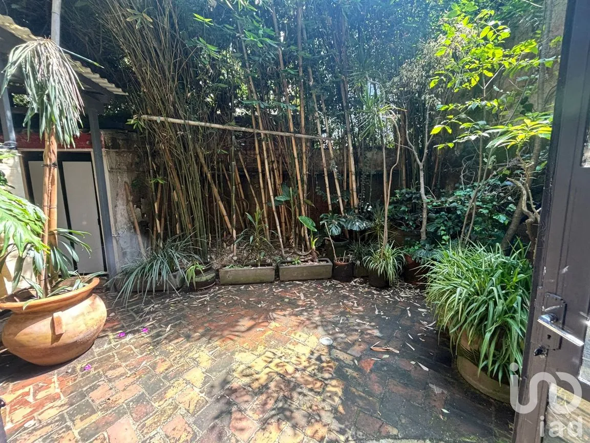 Oficina en Renta en Hipódromo Condesa, Cuauhtémoc, Ciudad de México | NEX-260610 | iad México | Foto 12 de 23