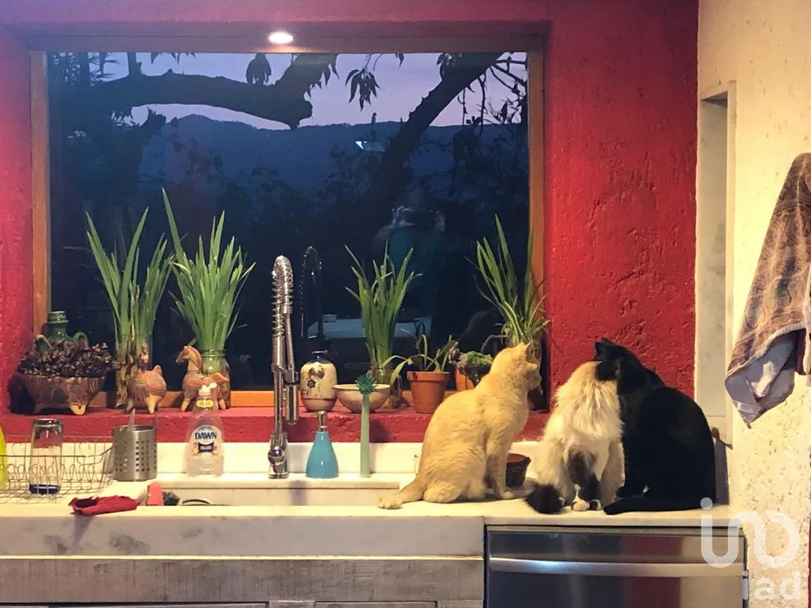 Casa en Venta en San Juan, Malinalco, México | NEX-261828 | iad México | Foto 19 de 52