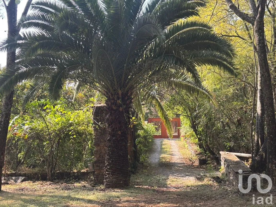 Casa en Venta en San Juan, Malinalco, México | NEX-261828 | iad México | Foto 24 de 52