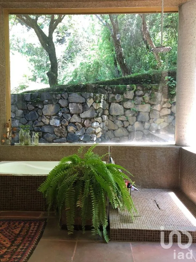 Casa en Renta en San Juan, Malinalco, México | NEX-261862 | iad México | Foto 12 de 21