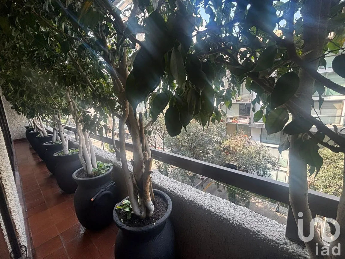 Departamento en Venta en Polanco V Sección, Miguel Hidalgo, Ciudad de México | NEX-262064 | iad México | Foto 5 de 22