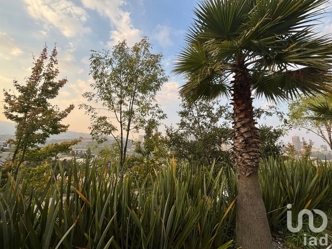 Departamento en Renta en Bosque Real, Huixquilucan, México | NEX-263468 | iad México | Foto 2 de 30