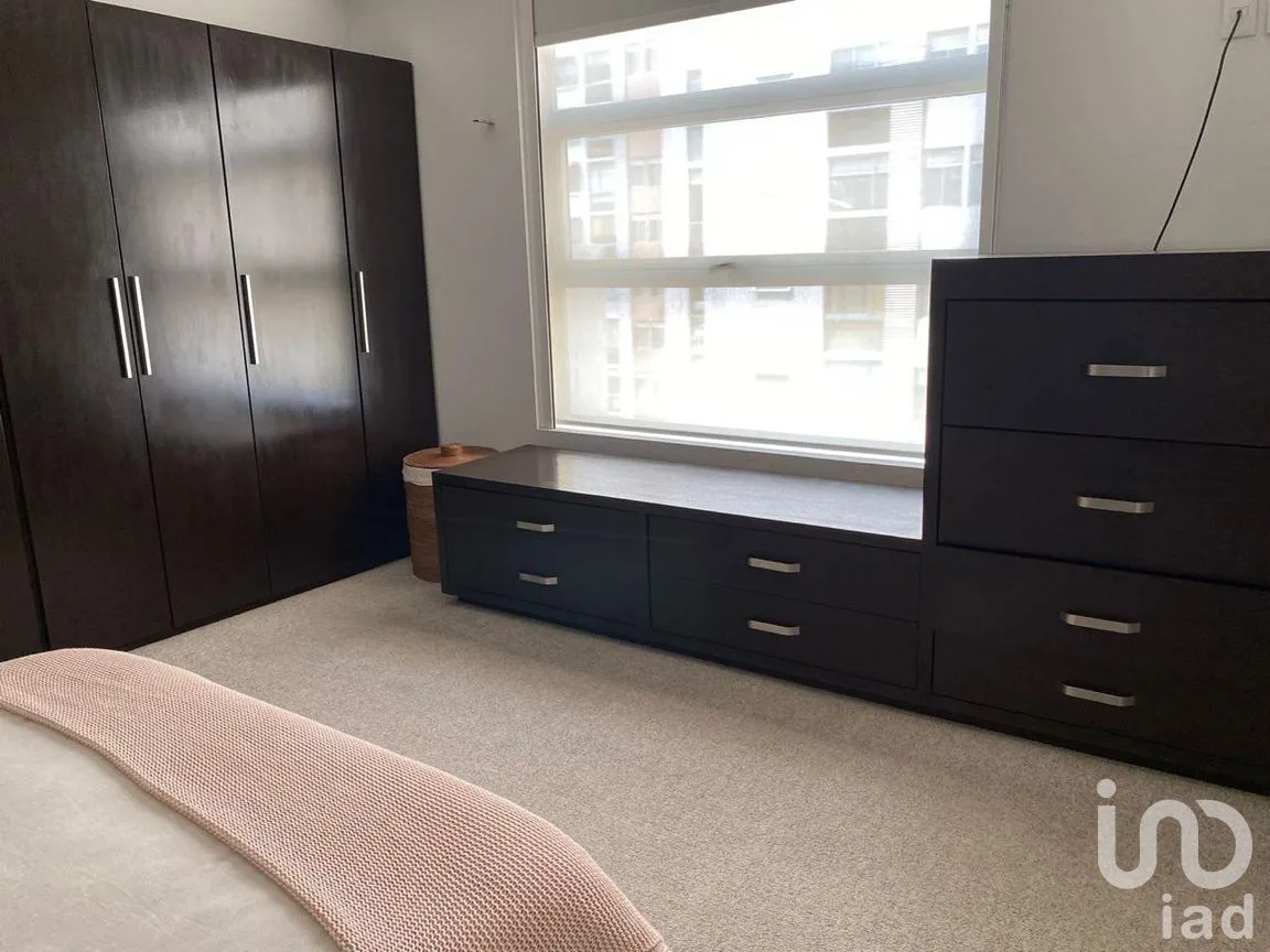 Departamento en Renta en Ampliación Granada, Miguel Hidalgo, Ciudad de México | NEX-292039 | iad México | Foto 3 de 30