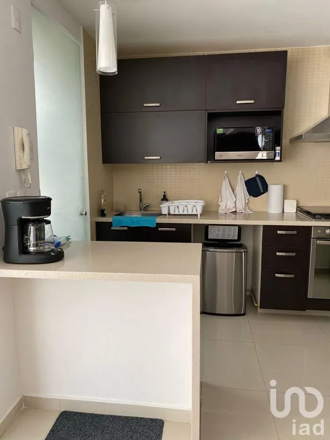 Departamento en Renta en Ampliación Granada, Miguel Hidalgo, Ciudad de México | NEX-292039 | iad México | Foto 6 de 30