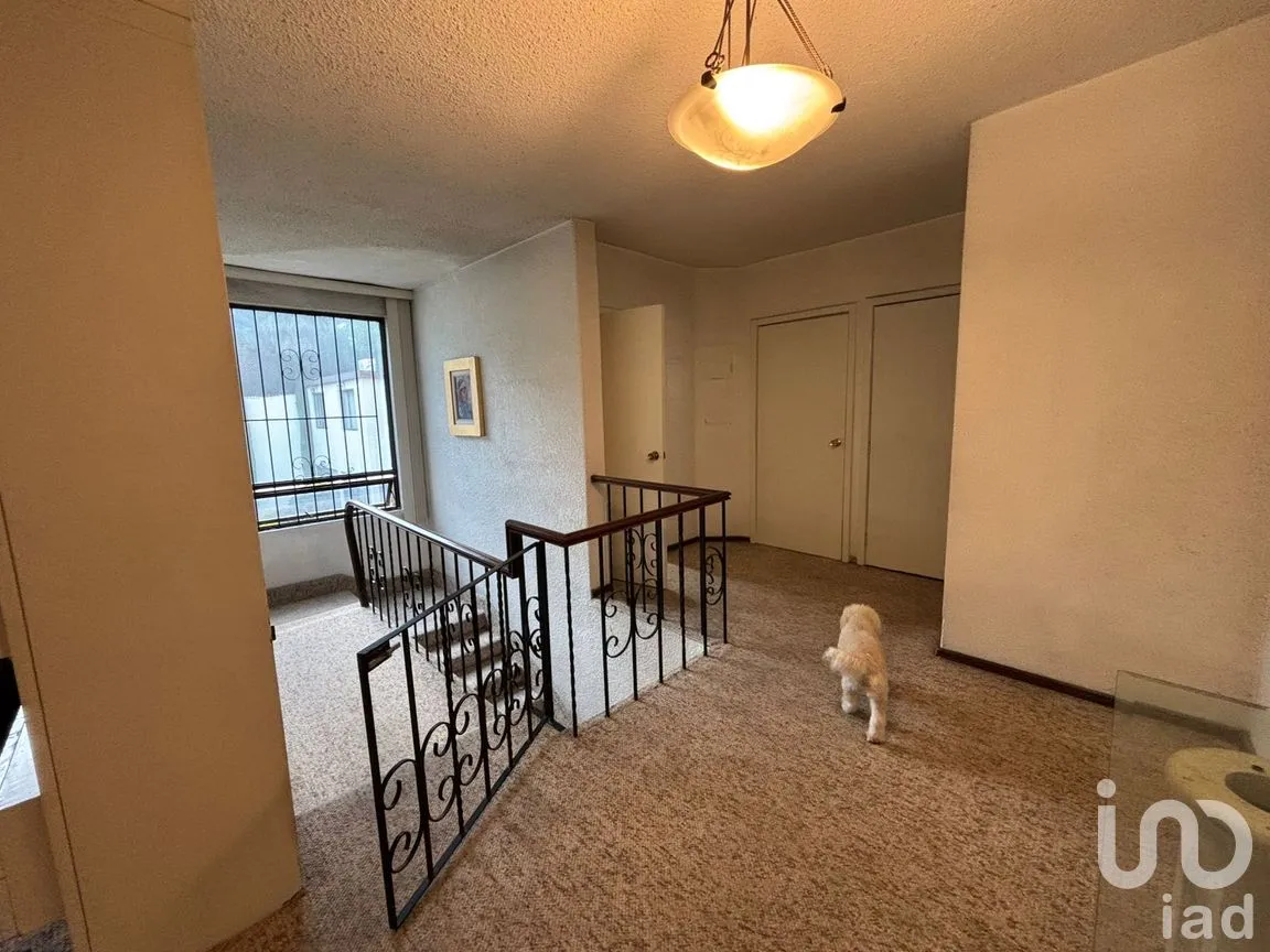 Casa en Venta en Polanco III Sección, Miguel Hidalgo, Ciudad de México | NEX-297946 | iad México | Foto 10 de 21