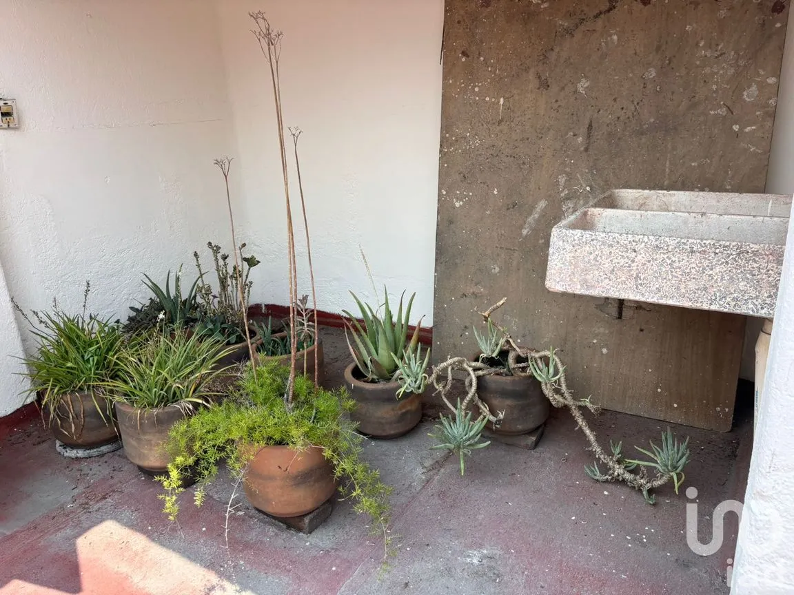 Departamento en Renta en Roma Sur, Cuauhtémoc, Ciudad de México | NEX-300833 | iad México | Foto 31 de 32