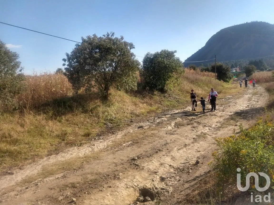 Terreno en Venta en Tlalmanalco de Velázquez, Tlalmanalco, México | NEX-263138 | iad México | Foto 2 de 6