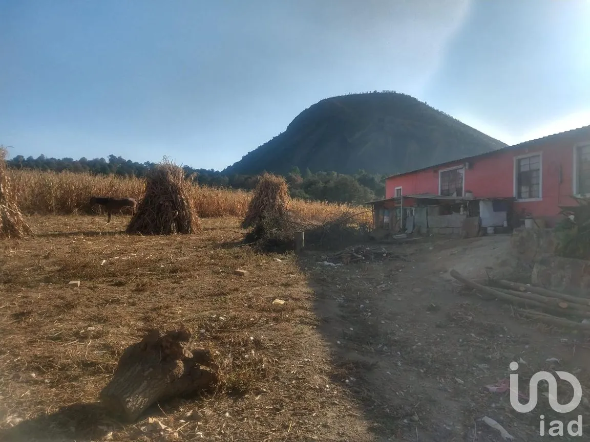 Terreno en Venta en Tlalmanalco de Velázquez, Tlalmanalco, México | NEX-263138 | iad México | Foto 3 de 6