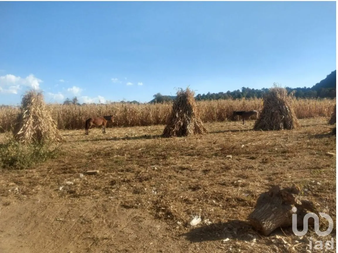 Terreno en Venta en Tlalmanalco de Velázquez, Tlalmanalco, México | NEX-263138 | iad México | Foto 1 de 6