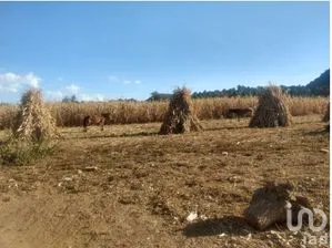 NEX-263138 - Terreno en Venta en Tlalmanalco de Velázquez, CP 56700, México.