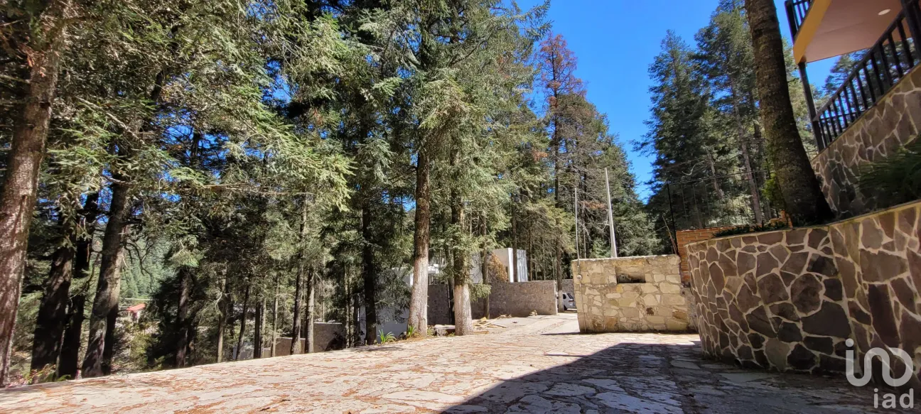 Terreno en Venta en Bosques de San Cayetano, Mineral del Monte, Hidalgo | NEX-146357 | iad México | Foto 16 de 39