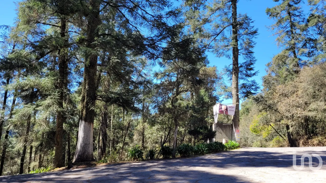 Terreno en Venta en Bosques de San Cayetano, Mineral del Monte, Hidalgo | NEX-146357 | iad México | Foto 31 de 39