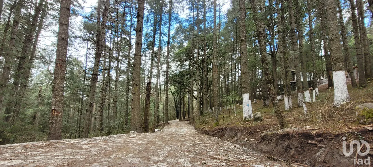 Terreno en Venta en Bosques de San Cayetano, Mineral del Monte, Hidalgo | NEX-146357 | iad México | Foto 7 de 39