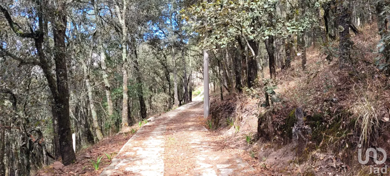 Terreno en Venta en Bosques de San Cayetano, Mineral del Monte, Hidalgo | NEX-146357 | iad México | Foto 10 de 39