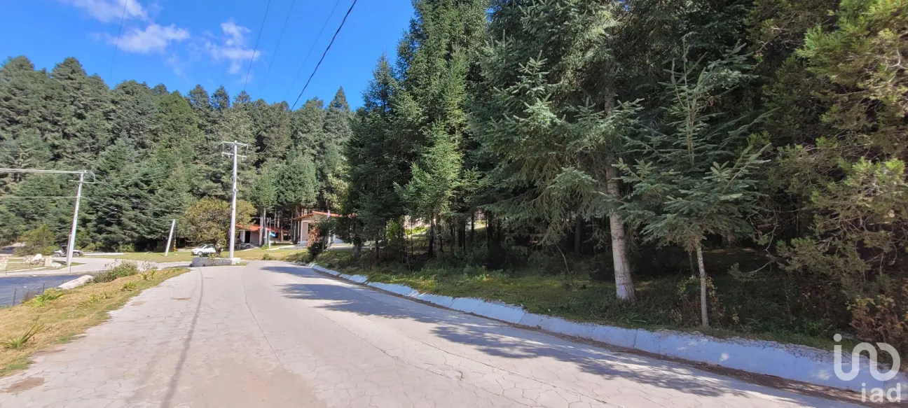 Terreno en Venta en Bosques de San Cayetano, Mineral del Monte, Hidalgo | NEX-146357 | iad México | Foto 36 de 39