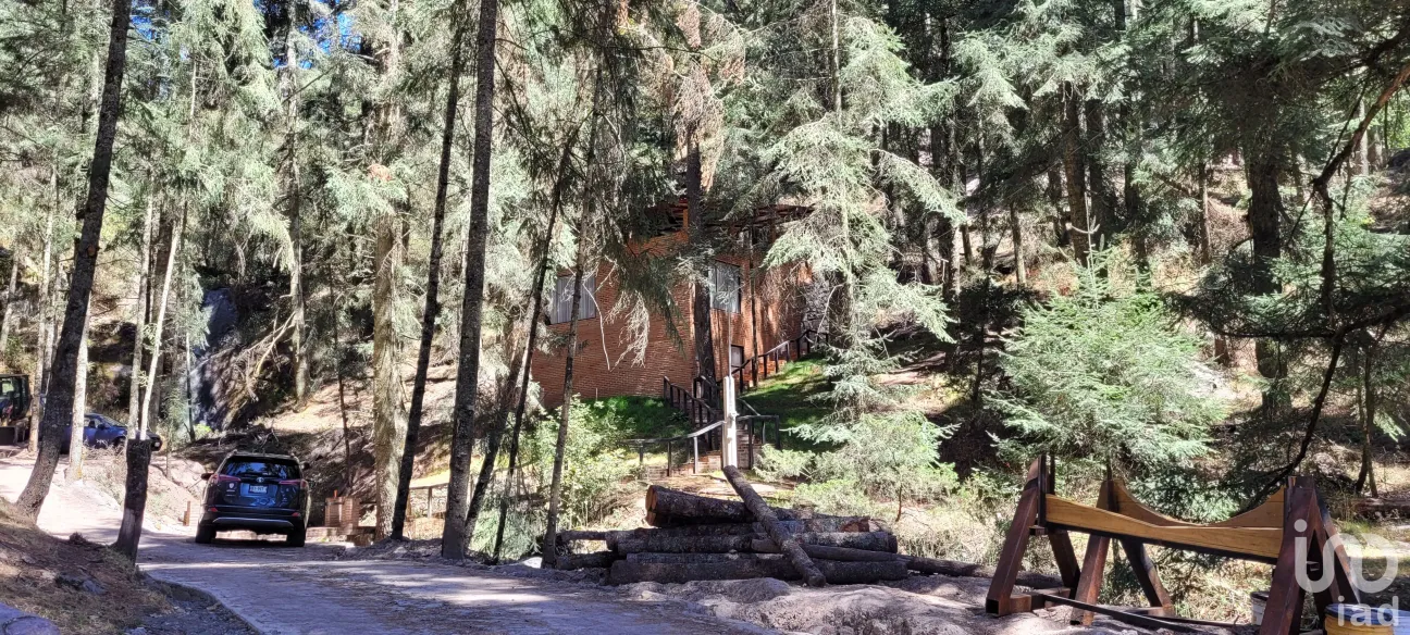 Terreno en Venta en Bosques de San Cayetano, Mineral del Monte, Hidalgo | NEX-146357 | iad México | Foto 26 de 39