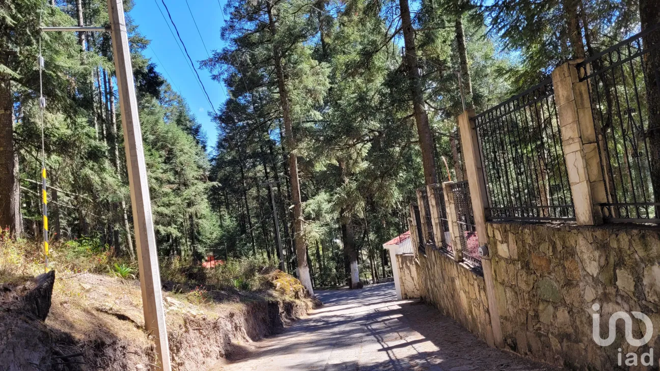 Terreno en Venta en Bosques de San Cayetano, Mineral del Monte, Hidalgo | NEX-146357 | iad México | Foto 29 de 39