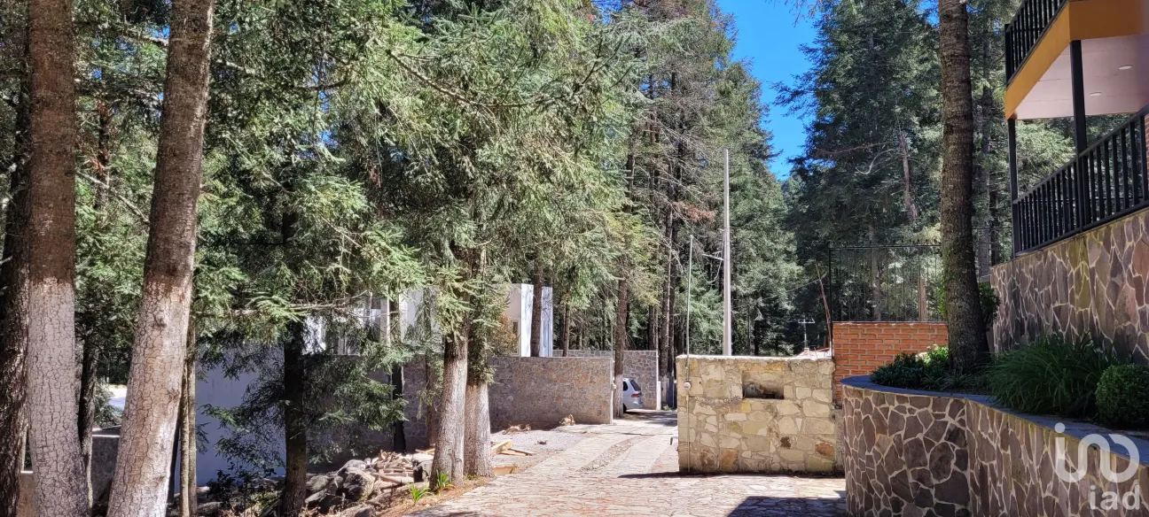 Terreno en Venta en Bosques de San Cayetano, Mineral del Monte, Hidalgo | NEX-146357 | iad México | Foto 17 de 39