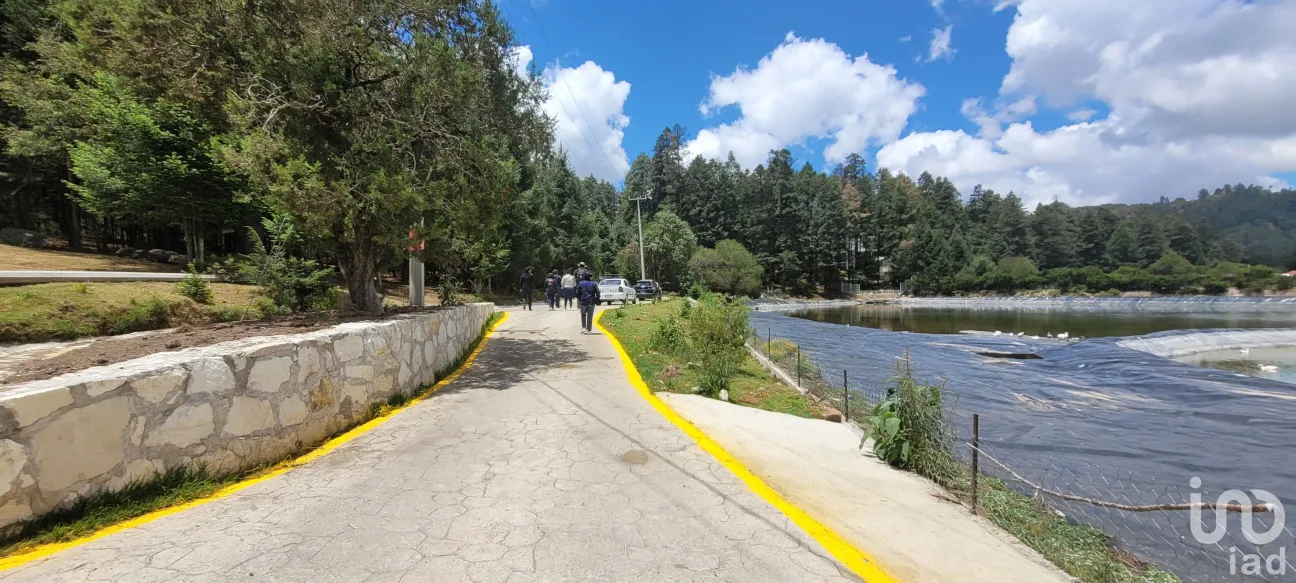 Terreno en Venta en Bosques de San Cayetano, Mineral del Monte, Hidalgo | NEX-146357 | iad México | Foto 4 de 39
