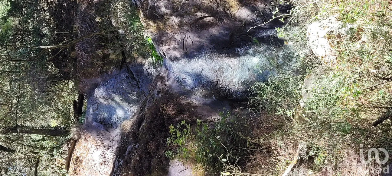 Terreno en Venta en Bosques de San Cayetano, Mineral del Monte, Hidalgo | NEX-146357 | iad México | Foto 25 de 39