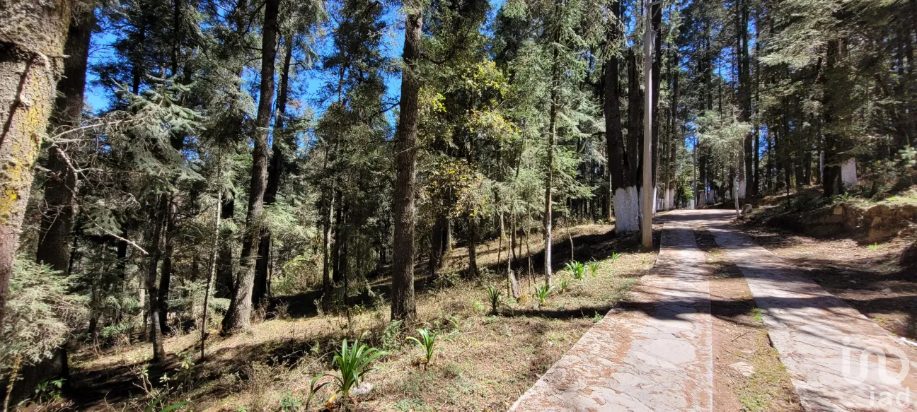 Terreno en Venta en Bosques de San Cayetano, Mineral del Monte, Hidalgo | NEX-146357 | iad México | Foto 1 de 39